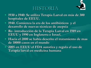 HISTORIA 1930 a 1940: Se utiliza Terapia Larval en más de 300 hospitales de EEUU. 1940. Comienza la era de los antibióticos  y el desarrollo de nuevas técnicas de asepsia  Re- introducción de la Terapia Larval en 1989 en EEUU y 1990 en Inglaterra e Israel. Hacia el 2000 se había descrito el tratamiento de mas de 10000 casos en el mundo 2005 en EEUU el FDA autoriza y regula el uso de Terapia larval en medicina humana 