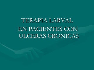TERAPIA LARVAL EN PACIENTES CON ULCERAS CRONICAS 