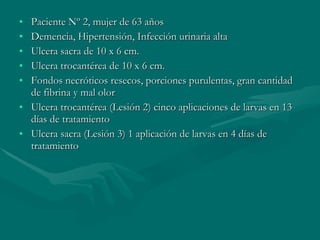 Paciente Nº 2, mujer de 63 años Demencia, Hipertensión, Infección urinaria alta Ulcera sacra de 10 x 6 cm. Ulcera trocantérea de 10 x 6 cm. Fondos necróticos resecos, porciones purulentas, gran cantidad de fibrina y mal olor Ulcera trocantérea (Lesión 2) cinco aplicaciones de larvas en 13 días de tratamiento Ulcera sacra (Lesión 3) 1 aplicación de larvas en 4 días de tratamiento 