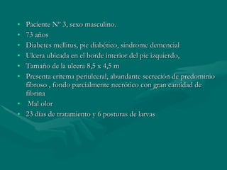 Paciente Nº 3, sexo masculino. 73 años  Diabetes mellitus, pie diabético, síndrome demencial Ulcera ubicada en el borde interior del pie izquierdo, Tamaño de la ulcera 8,5 x 4,5 m Presenta eritema periulceral, abundante secreción de predominio fibroso , fondo parcialmente necrótico con gran cantidad de fibrina Mal olor 23 días de tratamiento y 6 posturas de larvas 