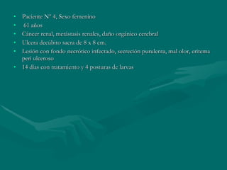 Paciente Nº 4, Sexo femenino 61 años Cáncer renal, metástasis renales, daño orgánico cerebral Ulcera decúbito sacra de 8 x 8 cm. Lesión con fondo necrótico infectado, secreción purulenta, mal olor, eritema peri ulceroso 14 días con tratamiento y 4 posturas de larvas 