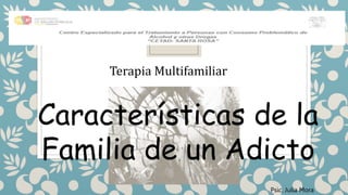 Características de la
Familia de un Adicto
Psic. Julia Mora
Terapia Multifamiliar
 