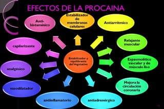 EFECTOS DE LA PROCAINA




                         12
 