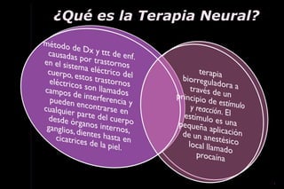 ¿Qué es la Terapia Neural?




                             1
 