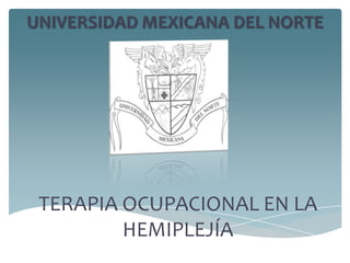 UNIVERSIDAD MEXICANA DEL NORTE




 TERAPIA OCUPACIONAL EN LA
         HEMIPLEJÍA
 