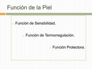 Función de la Piel

     Función de Sensibilidad.


             Función de Termorregulación.


                              Función Protectora.
 
