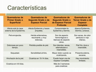 Características
  Quemaduras de              Quemaduras de             Quemaduras de           Quemaduras de
  Primer Grado o           Segundo Grado o de         Segundo Grado o         Tercer Grado o de
    Superficial              Espesor Parcial          de Espesor Parcial          Espesor
                                                          Profunda                Completo
  Afecta solo la capa      Afecta Epidermis y hacen     Comprometen la         Abarca Epidermis,
externa de la Epidermis.           ampollas.           Epidermis y Dermis.     Dermis y anexos.

    Piel enrojecida.         Herida eritematosa,         Son de aspecto       Son secas, de color
                              rezumante, y muy           hemorrágicos o         pardusco o rojo
                                  dolorosa.            blancas de aspecto          intenso.
                                                             céreo.
  Dolorosas por poco       Pérdida posible de piel.    Son blandas, secas,      Piel fría, dura e
        tiempo.                                          edematosas e             insensible.
                                                          insensibles.
      Sequedad.              Sensibilidad al Aire.    Mayor dolor cuando va    Presenta edema,
                                                          cicatrizando.            escaras,
 Hinchazón de la piel.     Cicatriza en 10-14 días.    Puede hacer una de       Hay movimiento
                                                       Espesor Completo.           limitado.
 Cicatriza en 4-8 días.                                Más de 3 semanas
                                                        para cicatrizar.
 