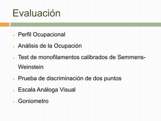 Evaluación

   Perfil Ocupacional
   Análisis de la Ocupación
   Test de monofilamentos calibrados de Semmens-
    Weinstein
   Prueba de discriminación de dos puntos
   Escala Análoga Visual
   Goniometro
 