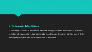 6.- Trastornos de la Masticación:
El fisioterapeuta facilita el movimiento mediante un apoyo de abajo arriba sobre la mandíbula.
Se induce el movimiento vertical combinado con el lateral, de manera rítmica, con el dedo
medio y el pulgar colocados en oposición sobre la mandíbula.
 