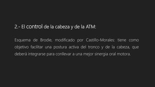 2.- El control de la cabeza y de la ATM:
Esquema de Brodie, modificado por Castillo-Morales: tiene como
objetivo facilitar una postura activa del tronco y de la cabeza, que
deberá integrarse para conllevar a una mejor sinergia oral motora.
 