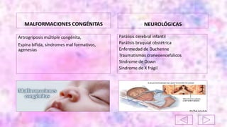 MALFORMACIONES CONGÉNITAS
Artrogriposis múltiple congénita,
Espina bífida, síndromes mal formativos,
agenesias
NEUROLÓGICAS
Parálisis cerebral infantil
Parálisis braquial obstétrica
Enfermedad de Duchenne
Traumatismos craneoencefálicos
Síndrome de Down
Síndrome de X frágil
 