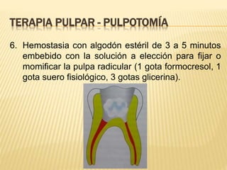 6. Hemostasia con algodón estéril de 3 a 5 minutos
embebido con la solución a elección para fijar o
momificar la pulpa radicular (1 gota formocresol, 1
gota suero fisiológico, 3 gotas glicerina).
TERAPIA PULPAR - PULPOTOMÍA
 