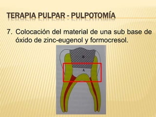 7. Colocación del material de una sub base de
óxido de zinc-eugenol y formocresol.
TERAPIA PULPAR - PULPOTOMÍA
 