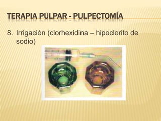 8. Irrigación (clorhexidina – hipoclorito de
sodio)
TERAPIA PULPAR - PULPECTOMÍA
 