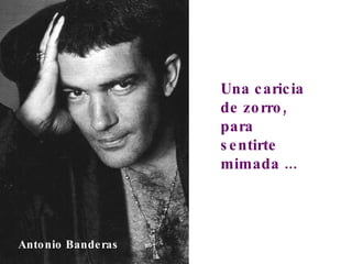 Una caricia de zorro, para sentirte mimada ... Antonio Banderas