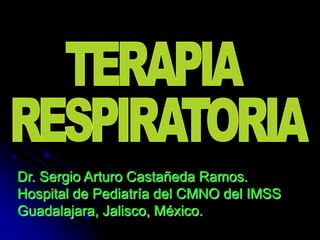 Dr. Sergio Arturo Castañeda Ramos.
Hospital de Pediatría del CMNO del IMSS
Guadalajara, Jalisco, México.
 