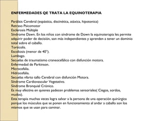 ENFERMEDADES QE TRATA LA EQUINOTERAPIA

Parálisis Cerebral (espástica, discinética, atáxica, hipotonica)
Retraso Psicomotor
Esclerosis Múltiple
Síndrome Dawn. En los niños con síndrome de Down la equinoterapia les permite
adquirir poder de decisión, son más independientes y aprenden a tener un dominio
total sobre el caballo.
Tortícolis.
Escoliosis (menor de 40°).
Lumbago.
Secuelas de traumatismo craneocefálico con disfunción motora.
Enfermedad de Parkinson.
Microcefalia.
Hidrocefalia.
Secuelas nfarto tallo Cerebral con disfunción Motora.
Síndrome Cardiovascular Vegetativo.
Síndrome Bronquial Crónico.
Es muy efectiva en quienes padecen problemas sensoriales( Ciegos, sordos,
mudos).
Esta terapia muchas veces logra salvar a la persona de una operación quirúrgica
porque los músculos que se ponen en funcionamiento al andar a caballo son los
mismos que se usan para caminar.
 