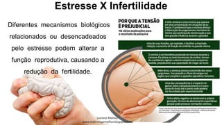 Estresse X Infertilidade
Diferentes mecanismos biológicos
relacionados ou desencadeados
pelo estresse podem alterar a
função reprodutiva, causando a
redução da fertilidade.
 