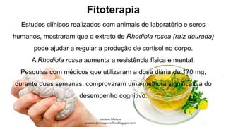 Fitoterapia
Estudos clínicos realizados com animais de laboratório e seres
humanos, mostraram que o extrato de Rhodiola rosea (raiz dourada)
pode ajudar a regular a produção de cortisol no corpo.
A Rhodiola rosea aumenta a resistência física e mental.
Pesquisa com médicos que utilizaram a dose diária de 170 mg,
durante duas semanas, comprovaram uma melhora significativa do
desempenho cognitivo.
 