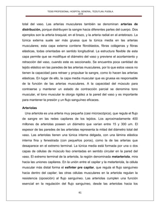Tesis de Terapias intravenosas | PDF
