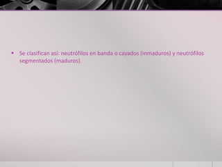  Se clasifican así: neutrófilos en banda o cayados (inmaduros) y neutrófilos
  segmentados (maduros).
 