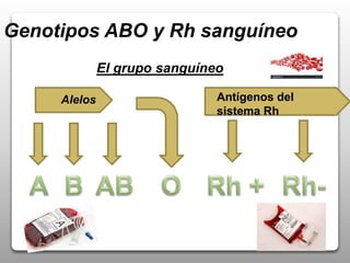 Genotipos ABO y Rh sanguíneo
El grupo sanguíneo
Alelos Antígenos del
sistema Rh
 