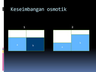 Keseimbangan osmotik


      1                2



                           b
  a       b
                  a
 