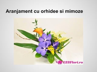 Aranjament cu orhidee si mimoze
 