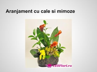 Aranjament cu cale si mimoze
 
