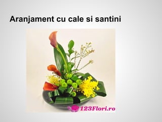 Aranjament cu cale si santini
 