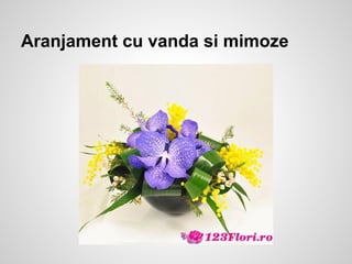 Aranjament cu vanda si mimoze
 