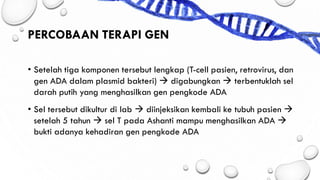 • Setelah tiga komponen tersebut lengkap (T-cell pasien, retrovirus, dan
gen ADA dalam plasmid bakteri) → digabungkan → terbentuklah sel
darah putih yang menghasilkan gen pengkode ADA
• Sel tersebut dikultur di lab → diinjeksikan kembali ke tubuh pasien →
setelah 5 tahun → sel T pada Ashanti mampu menghasilkan ADA →
bukti adanya kehadiran gen pengkode ADA
PERCOBAAN TERAPI GEN
 