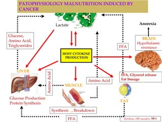 13
HOST CYTOKINE
PRODUCTION
Glucose Production
Protein Synthesis
Glucose,
Amino Acid,
Triglyserides
TUMOR GROWTH
BRAIN
Hypothalamic
resistance
FAT
FFA, Glyserol release
Fat Storage
MUSCLE
FFA
LIVER
FFA
Amino Acid
Lactate
Amino
Acid
Anorexia
Synthesis , Breakdown
Rombeau, WB saunders, 1990
PATOPHYSIOLOGY MALNUTRITION INDUCED BY
CANCER
 