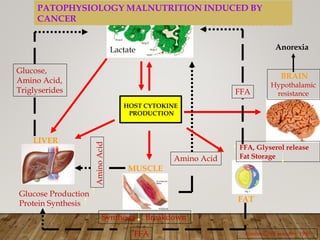 TUMOR GROWTH
PATOPHYSIOLOGY MALNUTRITION INDUCED BY
CANCER
Anorexia
Lactate
LIVER
MUSCLE
Glucose Production
Protein Synthesis
FAT
Rombeau, WB saunders, 1990
FFA
Synthesis , Breakdown
Amino Acid
Amino
Acid
HOST CYTOKINE
PRODUCTION
FFA
FFA, Glyserol release
Fat Storage
BRAIN
Hypothalamic
resistance
Glucose,
Amino Acid,
Triglyserides
 