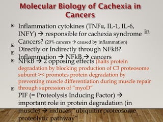 Inflammation cytokines (TNFα, IL-1, IL-6,
INFƳ)  responsible for cachexia syndrome
Cancers? (20% cancers  caused by inflammation)
Directly or Indirectly through NFkB?
Inflammation  NFkB  cancers

in


 NFkB  2 opposing effects (halts protein
degradation by blocking production of C3 proteosome
subunit >< promotes protein degradation by
preventing muscle differentiation during muscle repair
through supression of “myoD”
PIF (= Proteolysis Inducing Factor) 
important role in protein degradation (in
muscle)  induces “ubiquitin proteosome
proteolytic pathway”

 