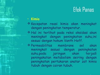 Efek Panas
• Kimia
 Kecepatan reasi kimia akan meningkat
dengan peningkatan temperatur.
 Hal ini terlihat pada reksi oksidasi akan
meningkat dengan peningkatan suhu,ini
sesuai dengan hokum Vanth Hoff.
 Permeabilitas membrane sel akan
meningkat sesuai dengan peningkatan
suhu,pada jaringan akan terjadi
peningakatan metabolism seiring dengan
peningkatan pertukaran anatar zat kimia
tubuh dengan cairan tubuh.
 