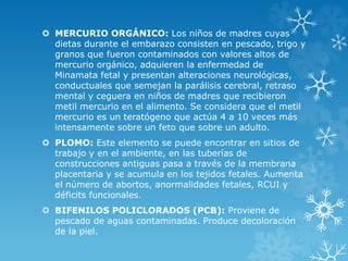  MERCURIO ORGÁNICO: Los niños de madres cuyas
dietas durante el embarazo consisten en pescado, trigo y
granos que fueron contaminados con valores altos de
mercurio orgánico, adquieren la enfermedad de
Minamata fetal y presentan alteraciones neurológicas,
conductuales que semejan la parálisis cerebral, retraso
mental y ceguera en niños de madres que recibieron
metil mercurio en el alimento. Se considera que el metil
mercurio es un teratógeno que actúa 4 a 10 veces más
intensamente sobre un feto que sobre un adulto.
 PLOMO: Este elemento se puede encontrar en sitios de
trabajo y en el ambiente, en las tuberías de
construcciones antiguas pasa a través de la membrana
placentaria y se acumula en los tejidos fetales. Aumenta
el número de abortos, anormalidades fetales, RCUI y
déficits funcionales.
 BIFENILOS POLICLORADOS (PCB): Proviene de
pescado de aguas contaminadas. Produce decoloración
de la piel.

 