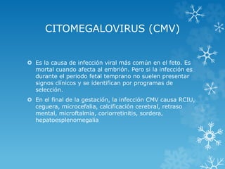 CITOMEGALOVIRUS (CMV)
 Es la causa de infección viral más común en el feto. Es
mortal cuando afecta al embrión. Pero si la infección es
durante el periodo fetal temprano no suelen presentar
signos clínicos y se identifican por programas de
selección.
 En el final de la gestación, la infección CMV causa RCIU,
ceguera, microcefalia, calcificación cerebral, retraso
mental, microftalmia, coriorretinitis, sordera,
hepatoesplenomegalia

 