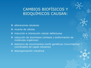 CAMBIOS BIOFÍSICOS Y
BIOQUÍMICOS CAUSAN:
 alteraciones celulares
 muerte de células
 inducción e interacción celular defectuosa
 reducción de biosíntesis (síntesis o bioformación de
moléculas orgánicas)
 deterioro de movimientos morfo genéticos (movimientos
coordinados de capas celulares)
 desorganización mecánica

 