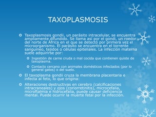 TAXOPLASMOSIS
 Taxoplasmosis gondii, un parásito intracelular, se encuentra
ampliamente difundido. Se llama así por el gondi, un roedor
del norte de África en el que se detectó por primera vez el
microorganismo. El parásito se encuentra en el torrente
sanguíneo, tejidos o células epiteliales. La infección materna
suele adquirirse por:
 Ingestión de carne cruda o mal cocida que contienen quiste de
taxoplasma.
 Contacto cercano con animales domésticos infectados (por lo
general gatos) o del suelo.

 El taxoplasma gondii cruza la membrana placentaria e
infecta al feto, lo que origina:
 Alteraciones destructivas en cerebro (calcificaciones
intracraneales) y ojos (coriorretinitis), microcefalia,
microftalmia e hidrocefalia, puede causar deficiencia
mental. Puede ocurrir la muerte fetal por la infección.

 