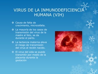 VIRUS DE LA INMUNODEFICIENCIA
HUMANA (VIH)
 Causa de falta de
crecimiento, microcefalia.
 La mayoría de los casos de
transmisión del virus de la
madre al feto, se da
durante el parto.
 La lactancia materna eleva
el riesgo de transmisión
del virus al recién nacido.
 El virus del sida se puede
transmitir por medio de la
placenta durante la
gestación

 