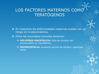 LOS FACTORES MATERNOS COMO
TERATÓGENOS

 En ocasiones las enfermedades maternas pueden ser un
riesgo en la descendencia.
 Entre las anomalías comunes tenemos:
 HOLOPROS ENCEFÁLICA: falta de división del
prosencéfalo en hemisferios.
 MACROCEFALIA: ausencia parcial de cerebro, agenesia
sacra.

 