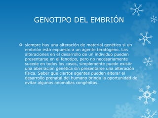 GENOTIPO DEL EMBRIÓN

 siempre hay una alteración de material genético si un
embrión está expuesto a un agente teratógeno. Las
alteraciones en el desarrollo de un individuo pueden
presentarse en el fenotipo, pero no necesariamente
sucede en todos los casos, simplemente puede existir
una aberración genética sin presentarse una alteración
física. Saber que ciertos agentes pueden alterar el
desarrollo prenatal del humano brinda la oportunidad de
evitar algunas anomalías congénitas.

 