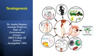 Dr. Asmita Daspute.
Assistant Professor,
Dept. of
Environmental
Science,
SBES College Of
Science,
Aurangabad. (MS)
Teratogenesis