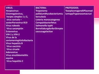 VIRUS:
Herpesvirus:
Citomegalovirus,
herpes simplex 1 y 2,
virus varicela –
zosterParvovirus B19
Virus rubeola
Virus sarampión
Enterovirus
VIH-1 y VIH-2
Virus de la
coriomeningitislinfocitaria
Virus hepatitis B
Virus vaccinia
Virus viruela
Adenovirus
Virus encefalomielitis
equina
Virus hepatitis C
BACTERIA:
Treponema
pallidumMycobacteriumtu
berculosis
Listeria monocytogenes
Campylobacterfetus
Salmonella typhi
BorreliaburgdorferiStrepto
coccusagalactiae
PROTOZOOS:
ToxoplasmagondiiPlasmod
iumsppTrypanosomacruzi
 