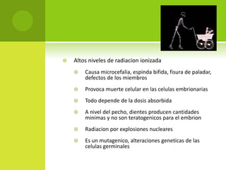 R AYOS X

   Altos niveles de radiacion ionizada
       Causa microcefalia, espinda bifida, fisura de paladar,
        defectos de los miembros
       Provoca muerte celular en las celulas embrionarias
       Todo depende de la dosis absorbida
       A nivel del pecho, dientes producen cantidades
        minimas y no son teratogenicos para el embrion
       Radiacion por explosiones nucleares
       Es un mutagenico, alteraciones geneticas de las
        celulas germinales
 