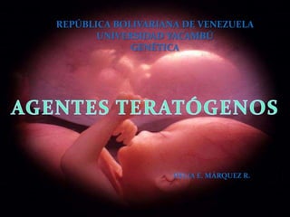 REPÚBLICA BOLIVARIANA DE VENEZUELA
UNIVERSIDAD YACAMBÚ
GENÉTICA
DELIA E. MÁRQUEZ R.
 