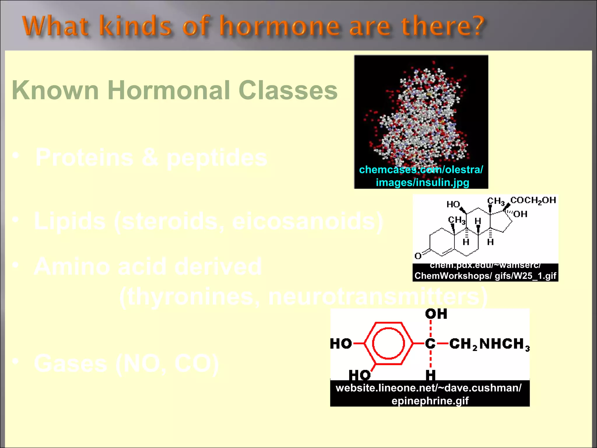 Known Hormonal Classes
• Proteins & peptides

chemcases.com/olestra/
images/insulin.jpg

• Lipids (steroids, eicosanoids)
• Amino acid derived
(thyronines, neurotransmitters)

chem.pdx.edu/~wamserc/
ChemWorkshops/ gifs/W25_1.gif

• Gases (NO, CO)
website.lineone.net/~dave.cushman/
epinephrine.gif

 