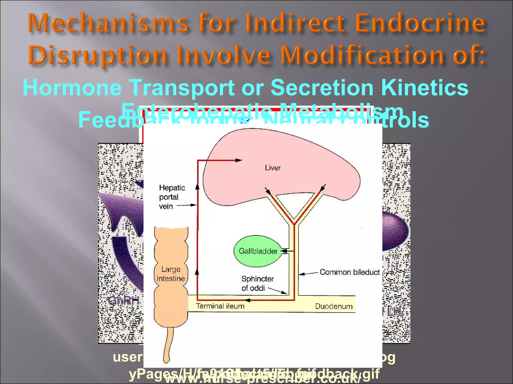 Hormone Transport or Secretion Kinetics
Enterohepatic Metabolism
Feedback loops, Neural controls

users.rcn.com/jkimball.ma.ultranet/Biolog
www.fst.rdg.ac.uk/courses/
yPages/H/hypothalamic_feedback.gif
fs916/lect5/l5b.gif
www.nurse-prescriber.co.uk/

 