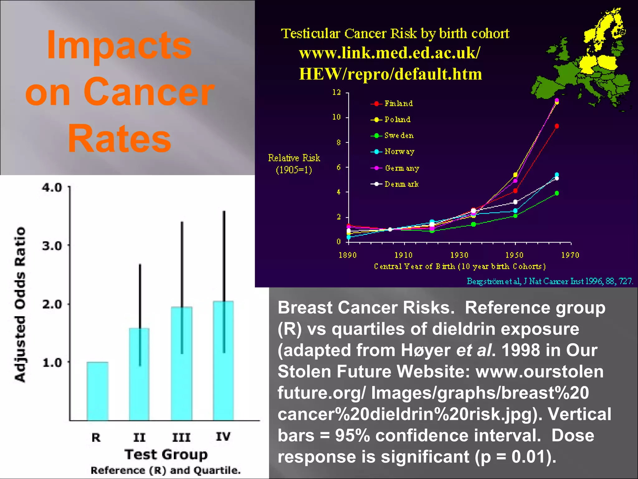 Impacts
on Cancer
Rates

www.link.med.ed.ac.uk/
HEW/repro/default.htm

Breast Cancer Risks. Reference group
(R) vs quartiles of dieldrin exposure
(adapted from Høyer et al. 1998 in Our
Stolen Future Website: www.ourstolen
future.org/ Images/graphs/breast%20
cancer%20dieldrin%20risk.jpg). Vertical
bars = 95% confidence interval. Dose
response is significant (p = 0.01).

 